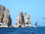 煙臺長島高山島天氣
