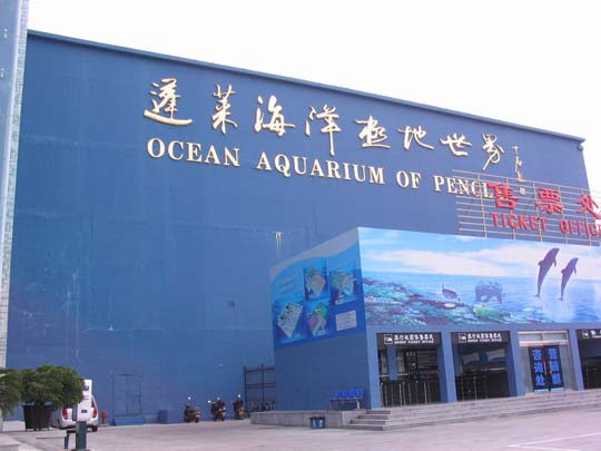 蓬萊海洋極地世界天氣