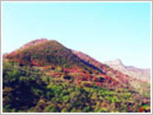 青州仰天山天氣