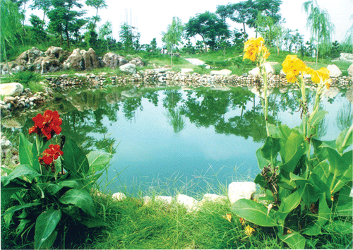 安丘青云湖天氣