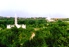 安丘青云山天氣