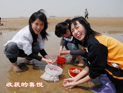 日照劉家灣趕海園天氣