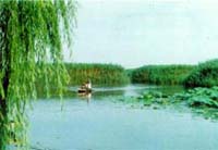 濱州蒲湖公園天氣