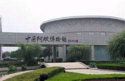 聊城中國阿膠博物館天氣