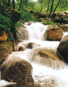 臨沂蒙陰蒙山天氣