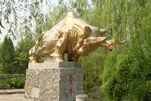 菏澤金山天氣