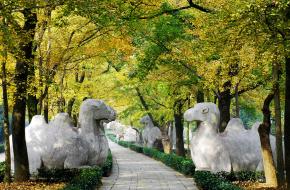 南京市鐘山風(fēng)景名勝區(qū)天氣