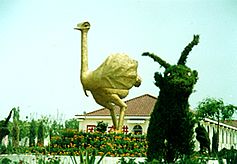 鄭州金鷺鴕鳥樂園天氣