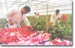 濮陽世錦園天氣