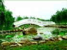 濮陽中原綠色莊園天氣