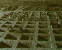 三門(mén)峽廟底溝遺址天氣