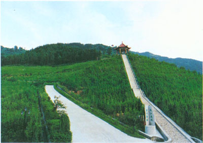 信陽新縣江淮嶺生態(tài)園天氣