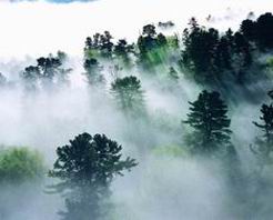 信陽新縣連康山保護(hù)區(qū)天氣