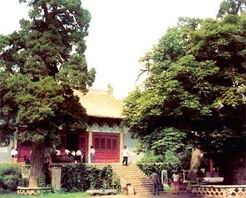 山陽濟(jì)源陽臺宮天氣