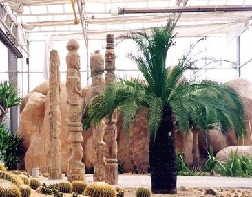 天津熱帶植物觀光園天氣
