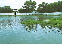 青云譜八大山人故居天氣