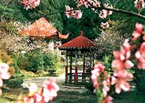 九江花徑天氣