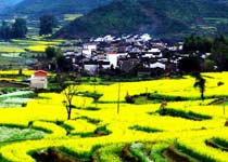 婺源江嶺天氣