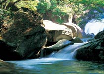 婺源大鄣山天氣