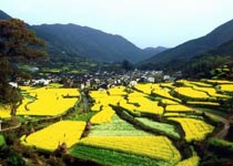 上饒慶源天氣