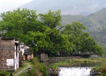 上饒虹關天氣
