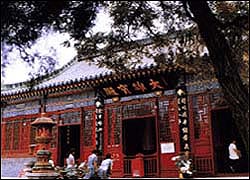 天津大悲禪院天氣