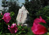 豐臺北宮國家森林公園天氣