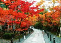 門頭溝小龍門森林公園天氣