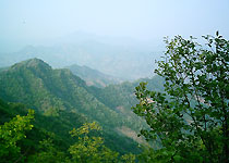 河北八仙山自然保護區天氣