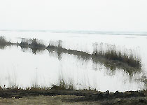 靜海團泊洼水庫天氣