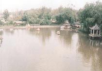 紅橋西沽公園天氣
