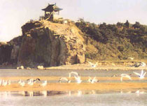 北戴河鴿子窩公園天氣