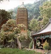 天津天成寺舍利塔天氣