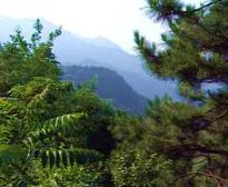 天津薊縣八仙山天氣