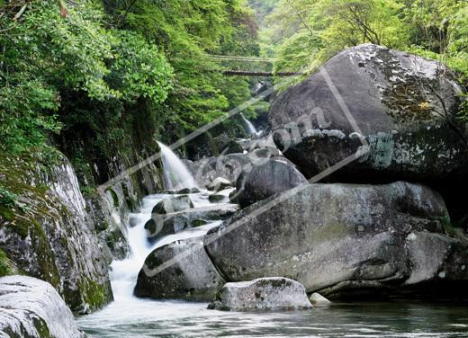 婺源大障山臥龍谷風景區天氣