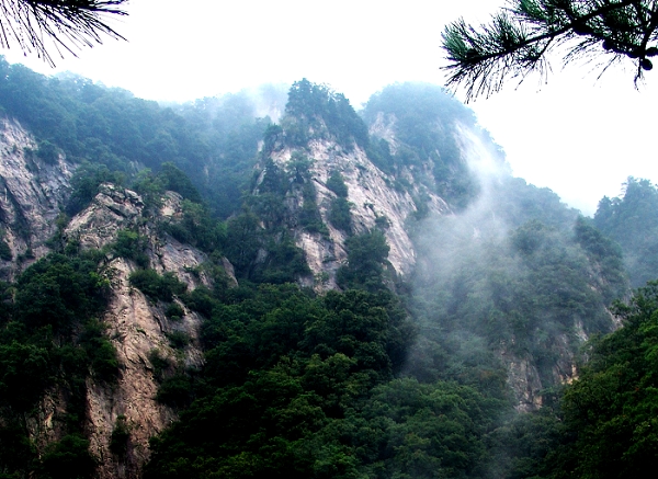 西峽銀樹溝天氣