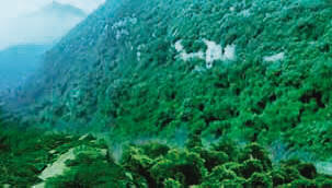 平山藤龍山原生態自然風景區天氣