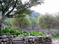 石家莊石頭村天氣
