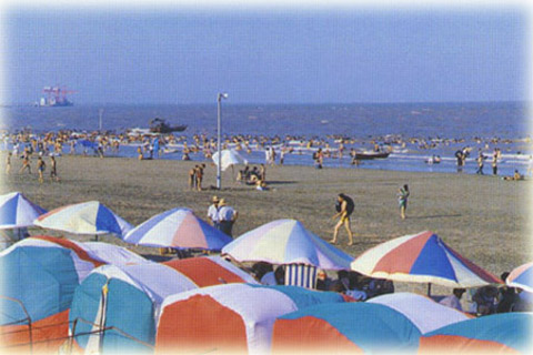 唐山樂亭海濱旅游區天氣