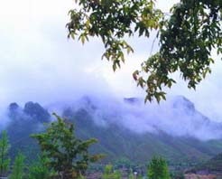 秦皇島桃林口天氣
