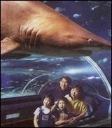 秦皇島新澳海底世界天氣