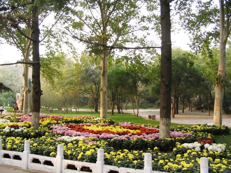 邯鄲叢臺公園天氣
