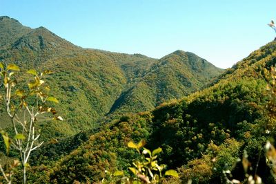 淶水野三坡白草畔天氣