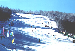 張家口塞北滑雪場天氣