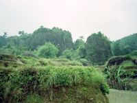 滄州吳橋雜技民俗風情園天氣
