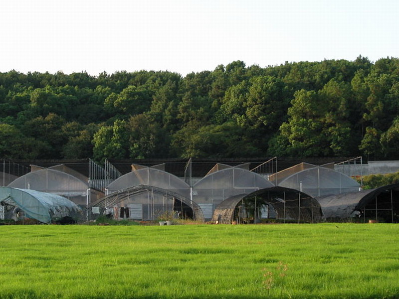 廊坊農業產業化花卉基地天氣