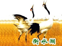 衡水湖天氣