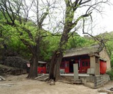 朝陽涌泉寺天氣