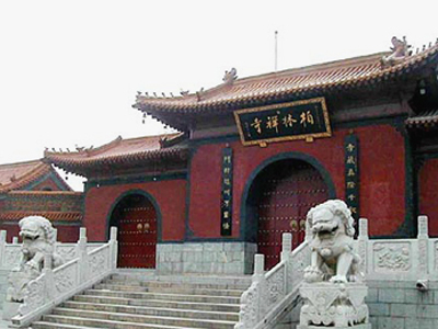 東城柏林寺天氣