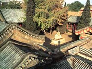 北京新革路20號四合院天氣